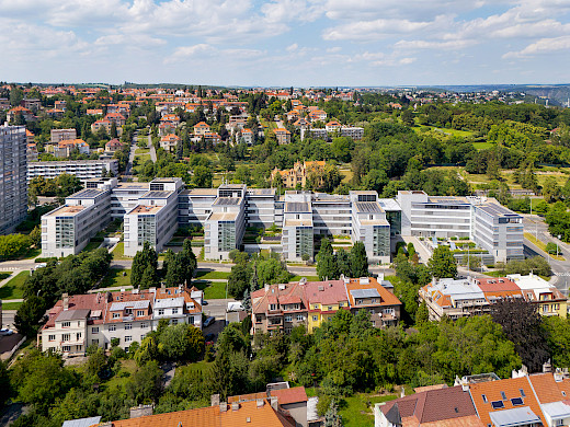 Hadovka